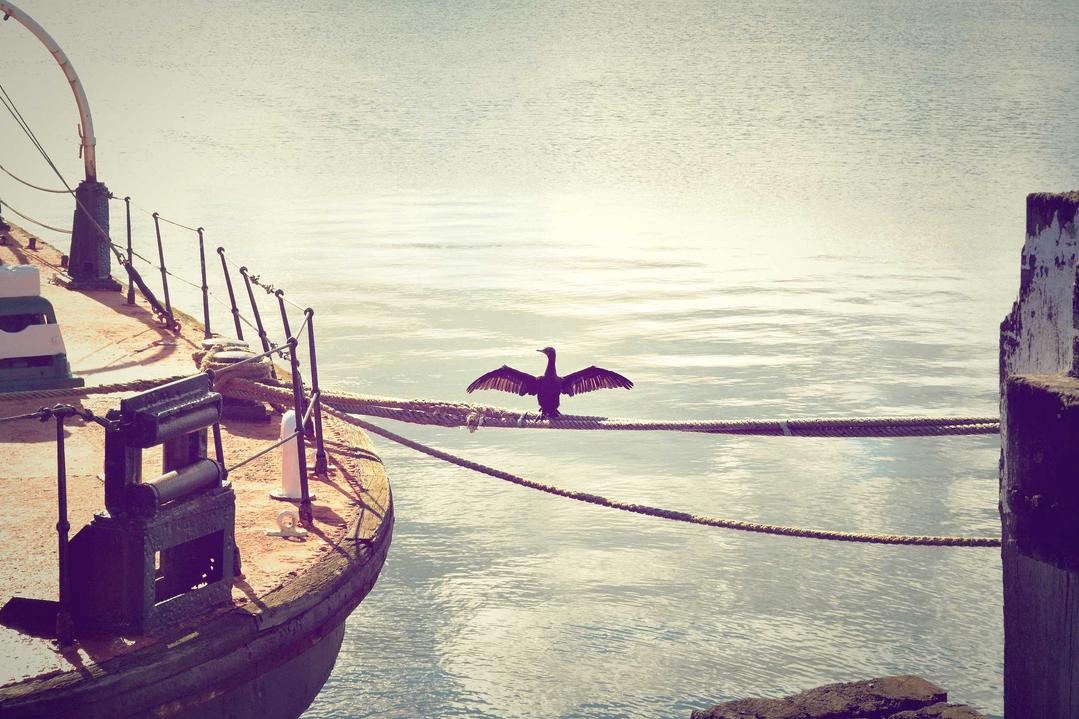 Iure inventore adipisci vitae ad ut